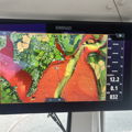Thumbnail for picture 22