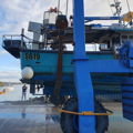Extra picture for advert 145435