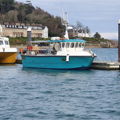 Extra picture for advert 145435