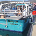 Extra picture for advert 145435