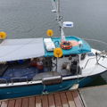 Extra picture for advert 145435