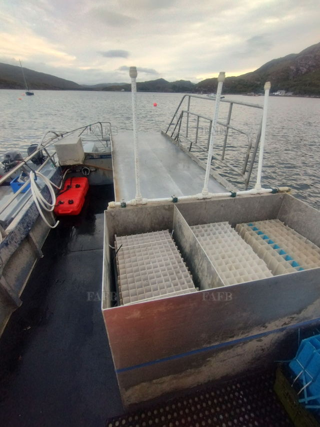 Large picture for advert 144437