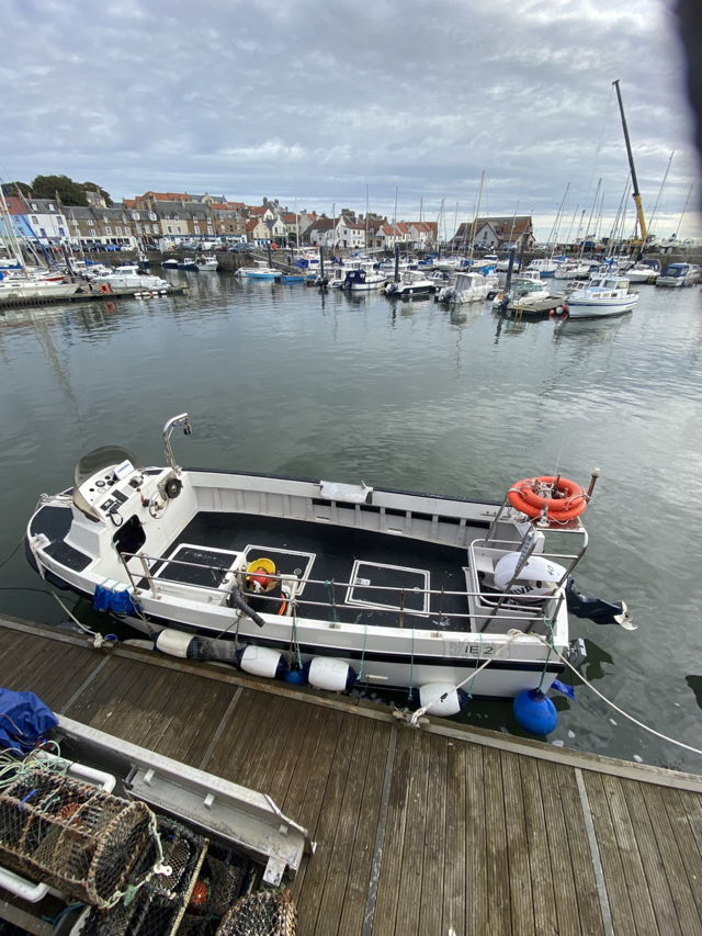 Large picture for advert 138438