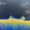 Thumbnail for picture 11