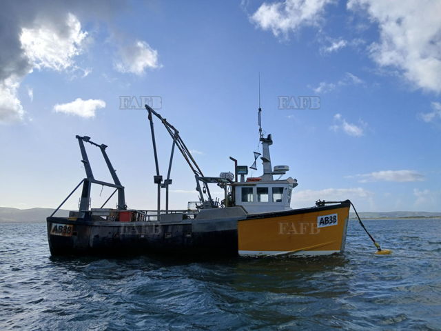 Large picture for advert 143442