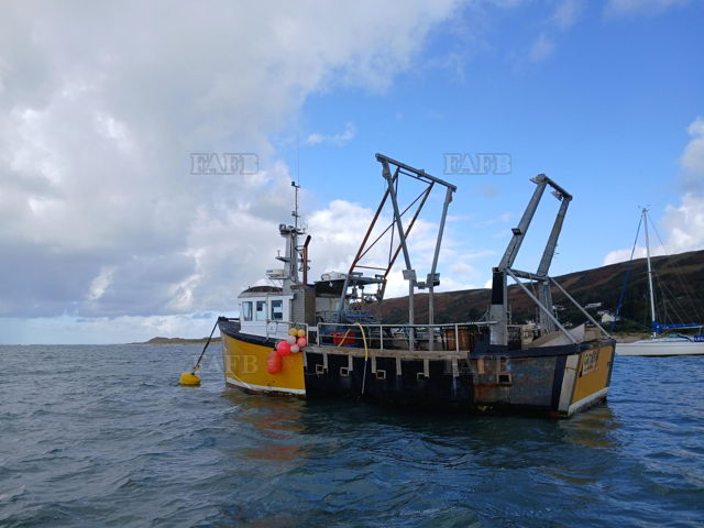 Large picture for advert 143442