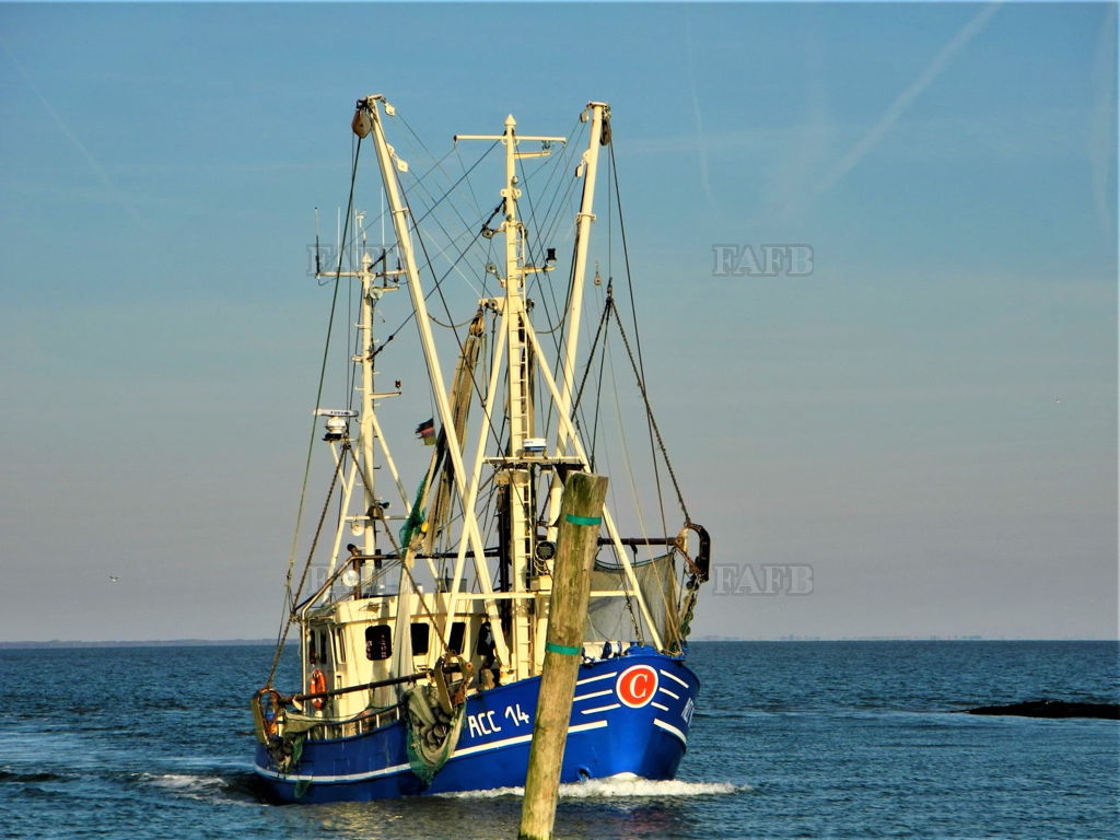 Fishing Boat