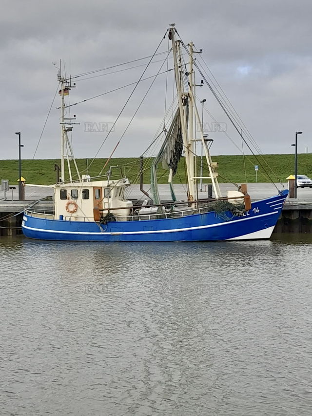 Large picture for advert 143443