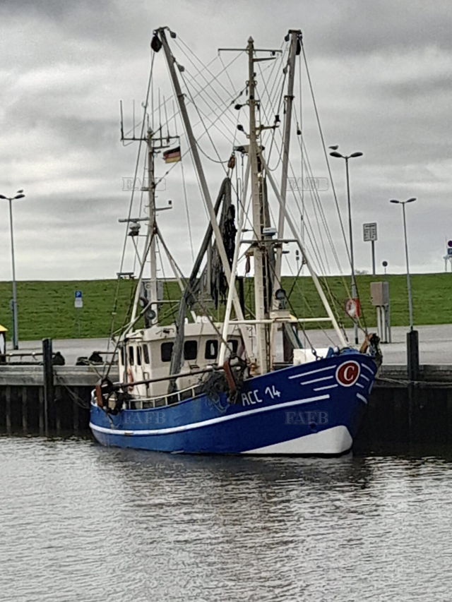 Large picture for advert 143443