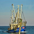 Extra picture for advert 143443