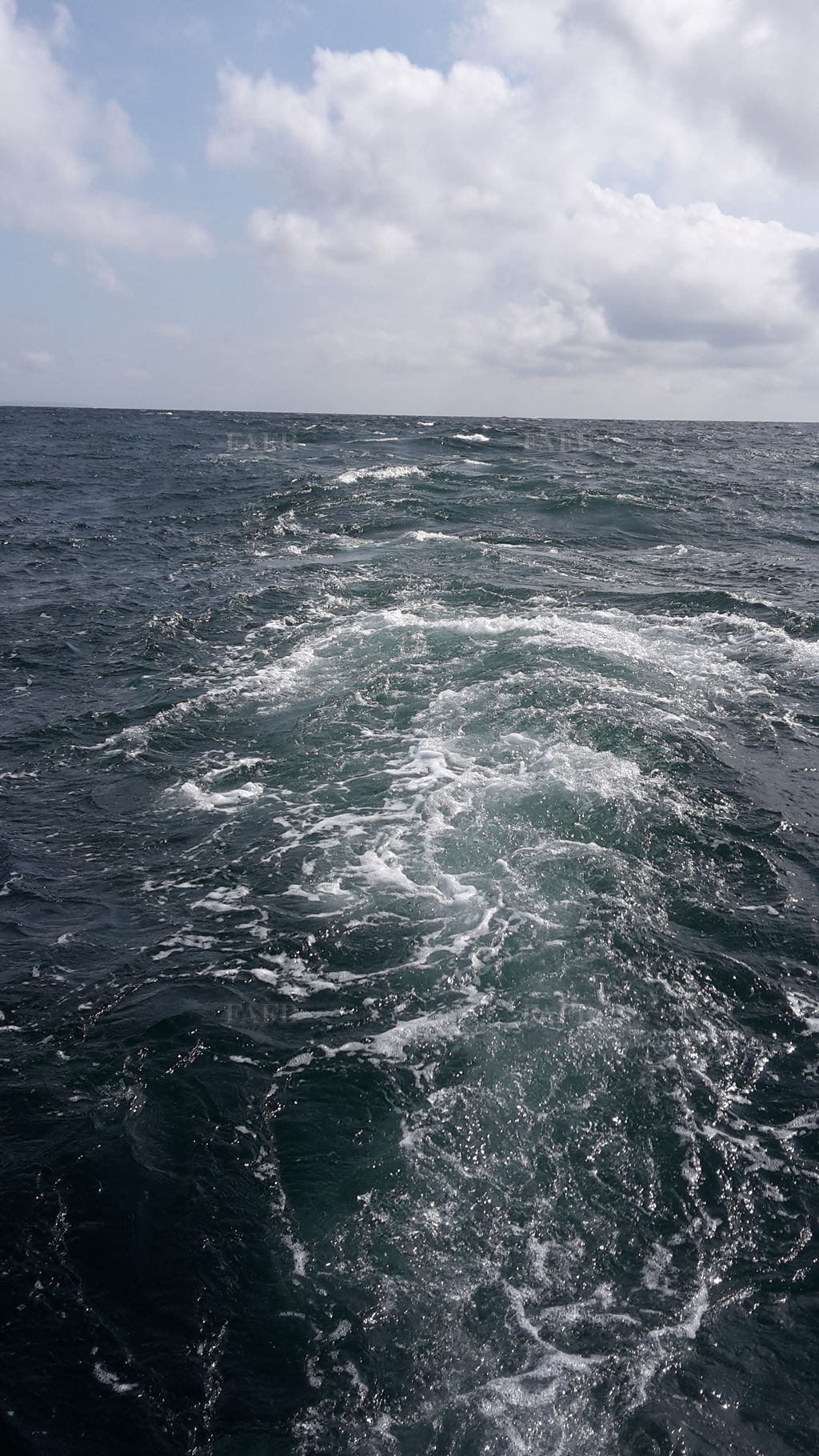 SCALOPE  BOAT SKIPPER