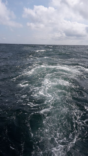 SCALOPE  BOAT SKIPPER