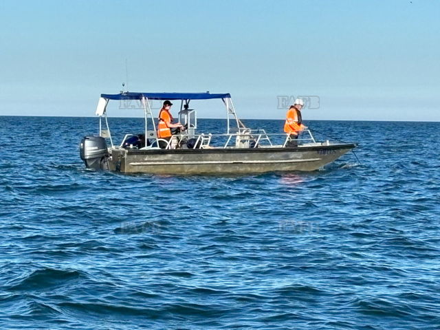 Large picture for advert 141445