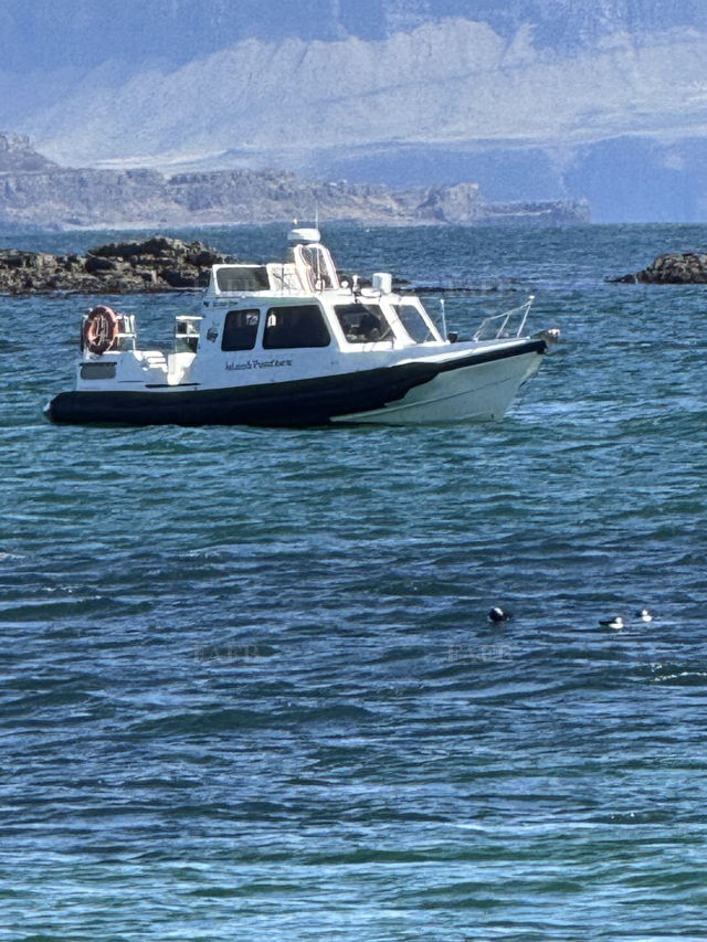 Large picture for advert 144446