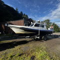 Extra picture for advert 144446