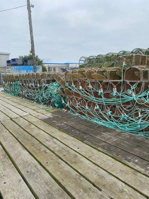 Large picture for advert 138448