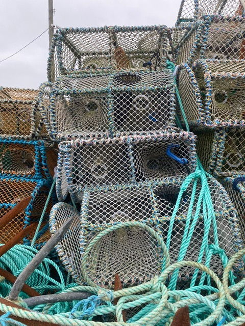 Large picture for advert 138448