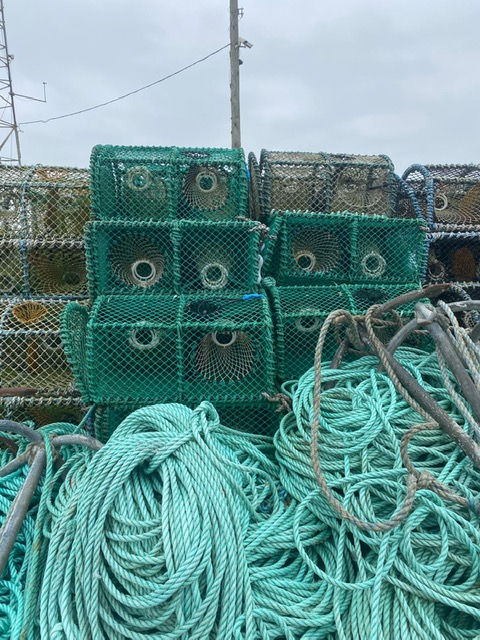 Large picture for advert 138448