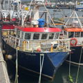 Extra picture for advert 147448