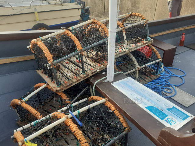 Large picture for advert 143449