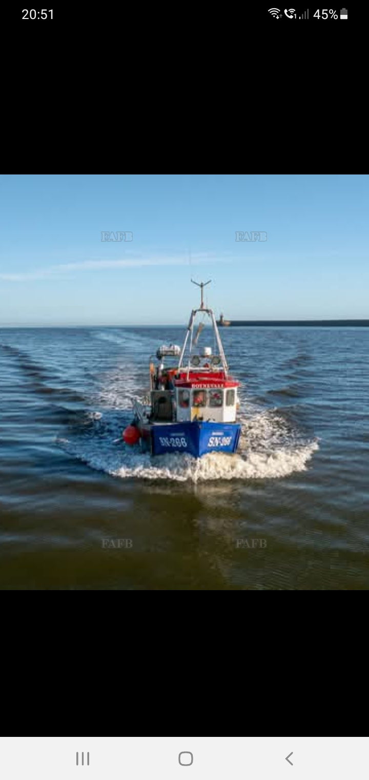 Large picture for advert 139452