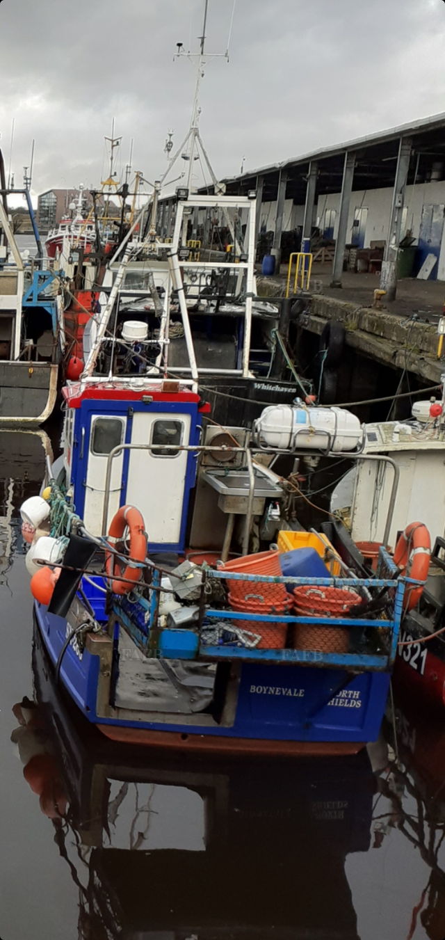 Large picture for advert 139452