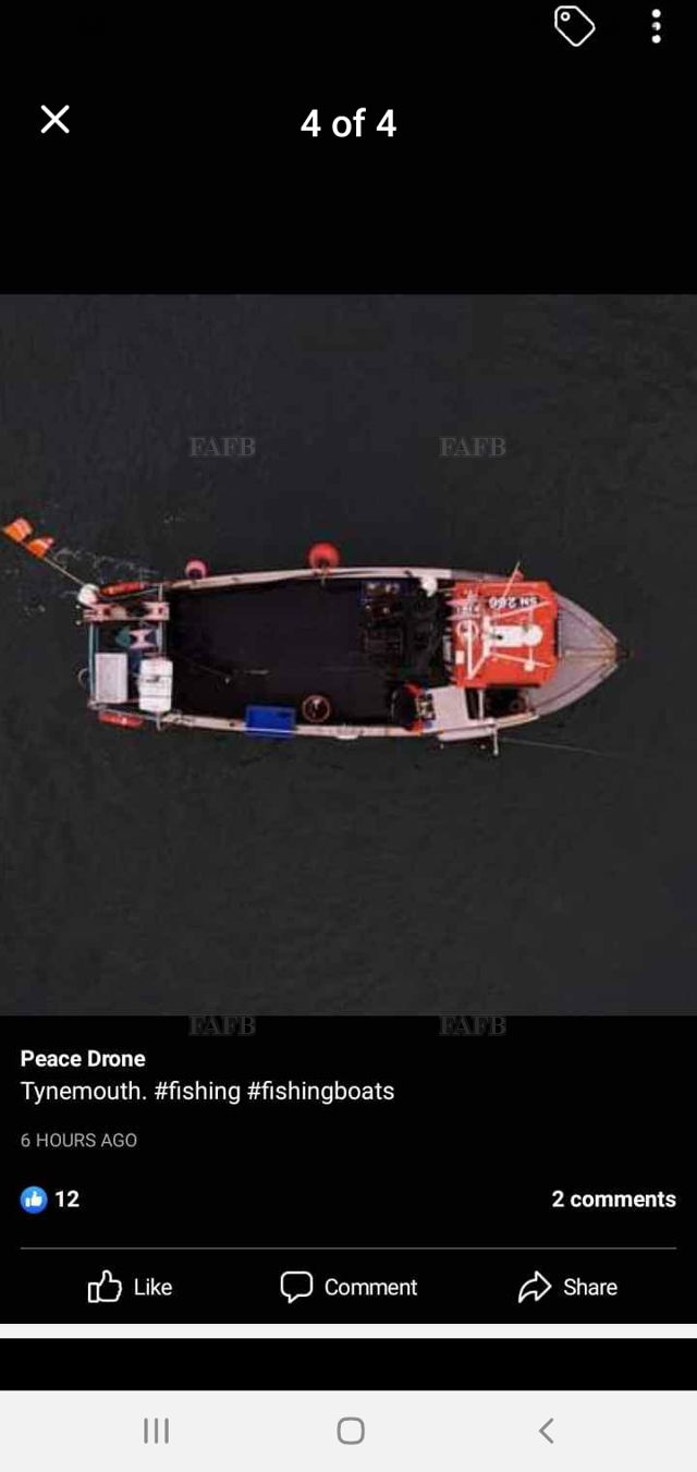 Large picture for advert 139452