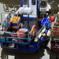 Thumbnail for picture 4