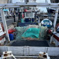 Extra picture for advert 148452