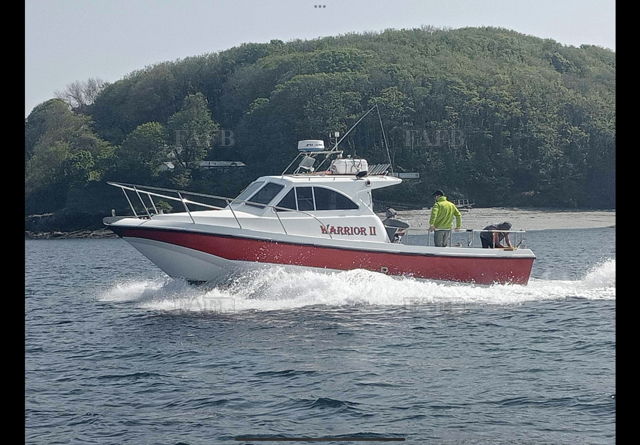 Large picture for advert 143456