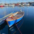 Extra picture for advert 148459