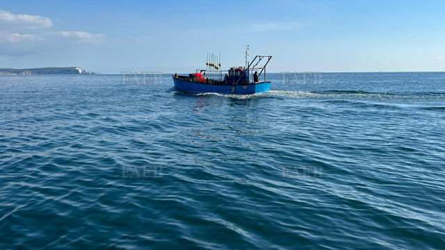 Large picture for advert 141460