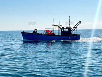 Main picture for advert 141460
