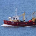 Trawler /Scalloper - picture 2