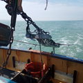 Thumbnail for picture 5