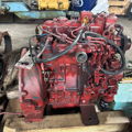 Extra picture for advert 143461