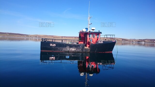 Steel work boat - picture 1