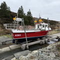 Extra picture for advert 147463