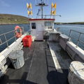 Extra picture for advert 147463