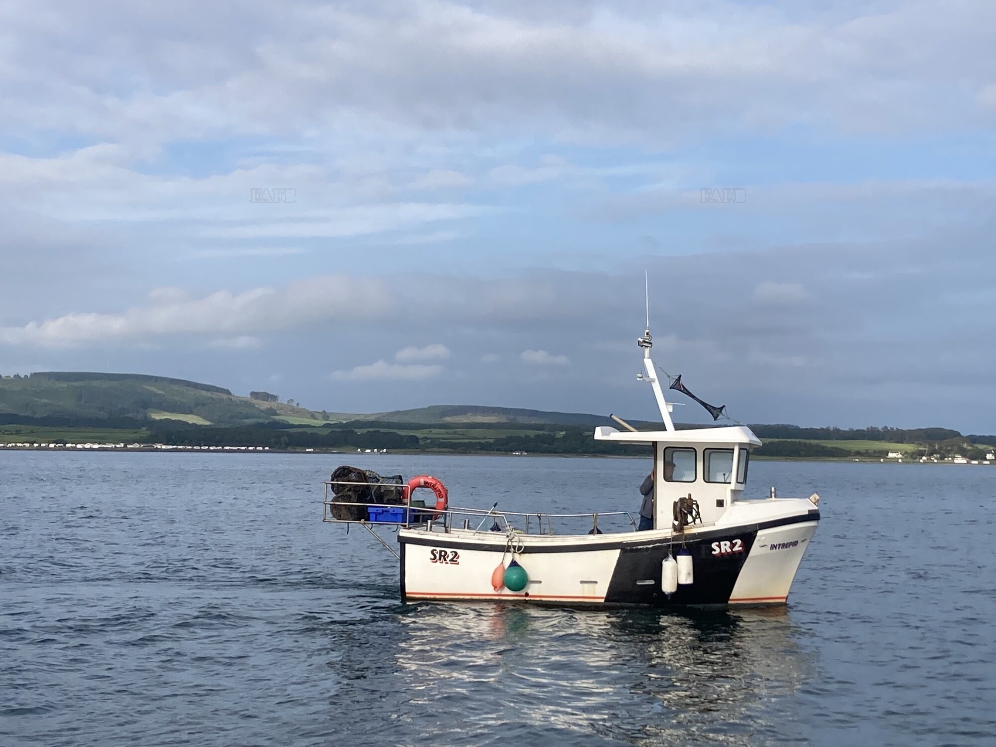 Large picture for advert 122464