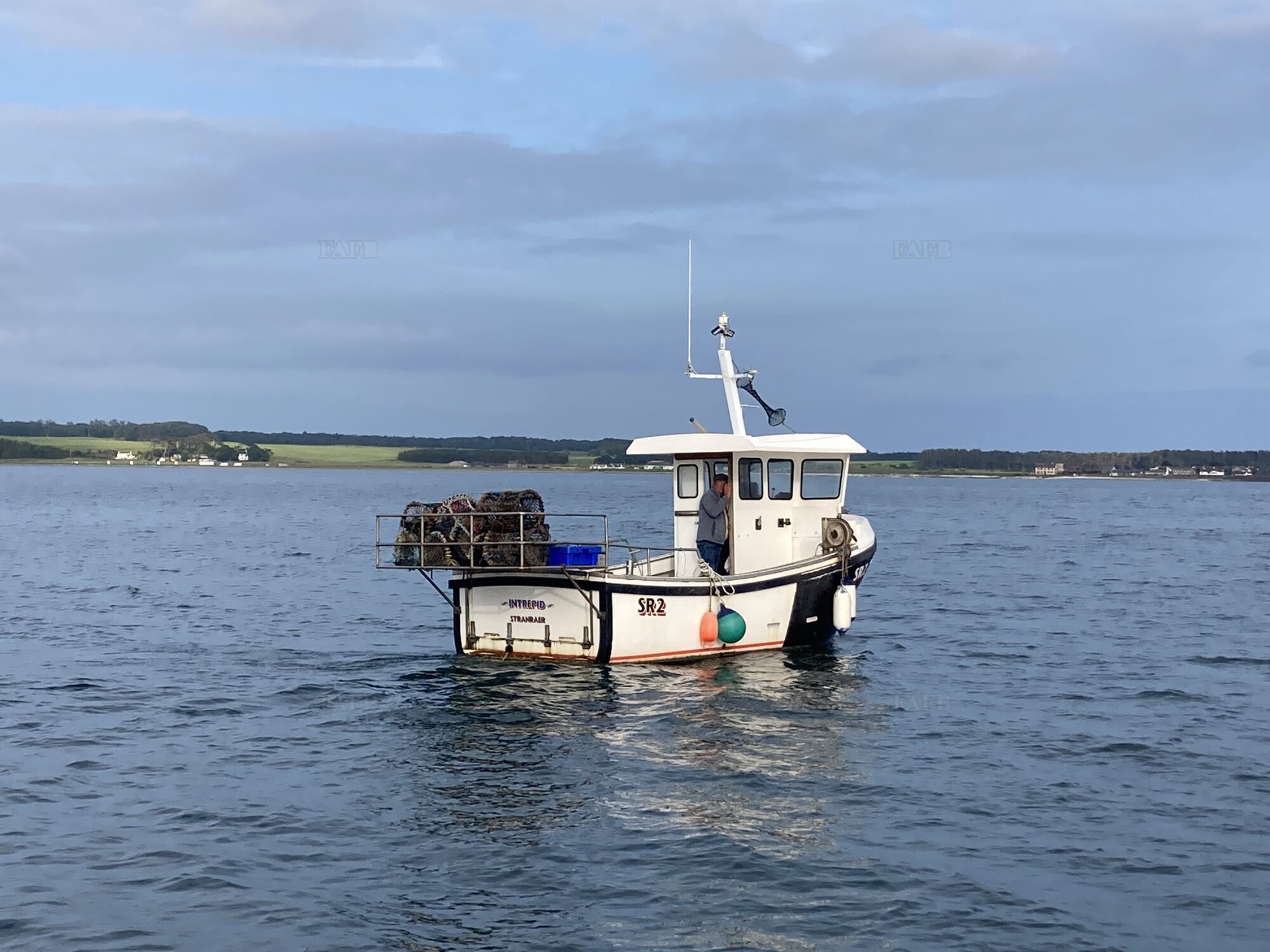 Large picture for advert 122464