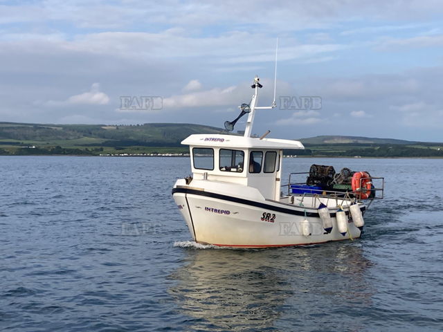 Large picture for advert 122464