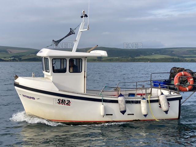 Large picture for advert 122464