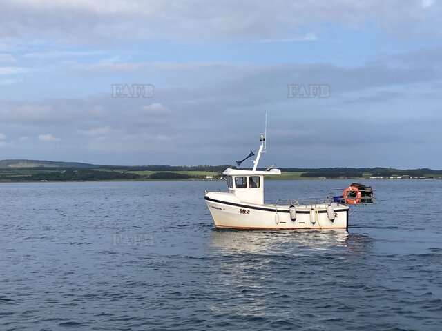 Large picture for advert 122464