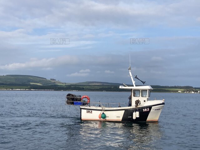 Large picture for advert 122464