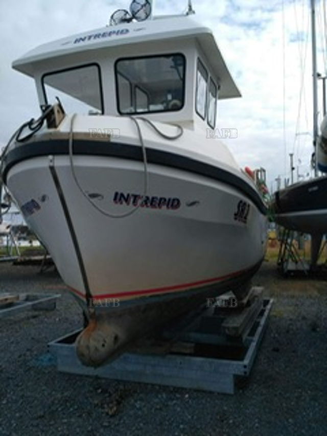 Large picture for advert 122464
