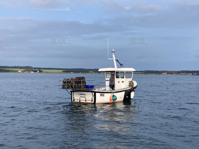 Large picture for advert 122464