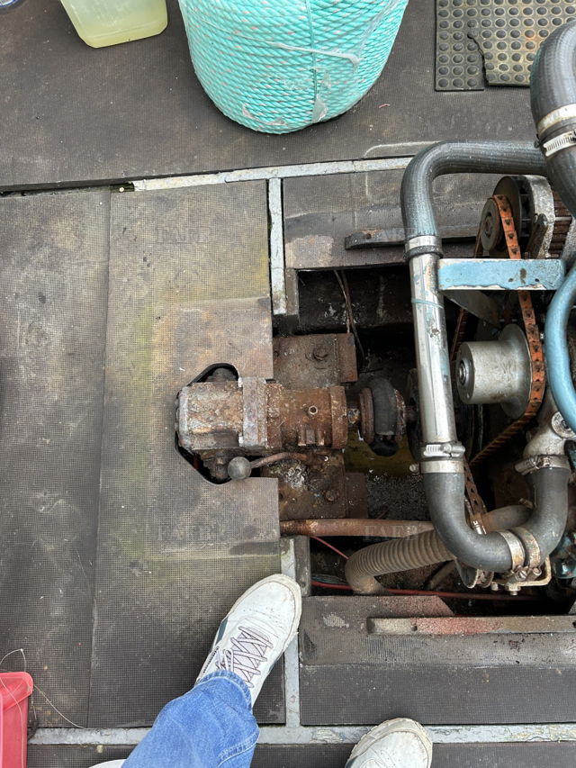 Large picture for advert 137465