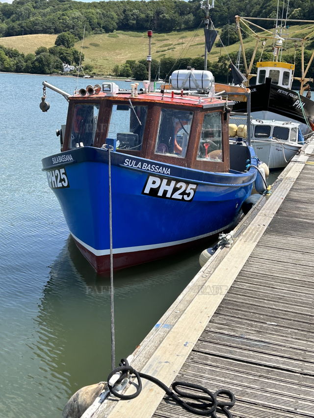 Large picture for advert 137465