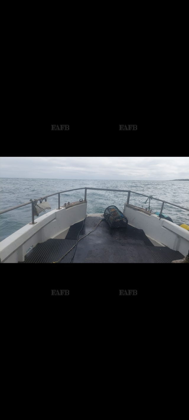 Large picture for advert 143467